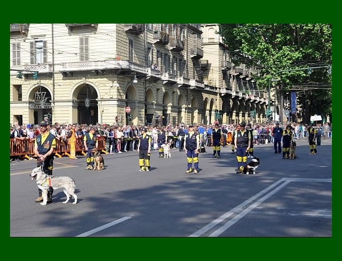 Unità cinofile Unità cinofile