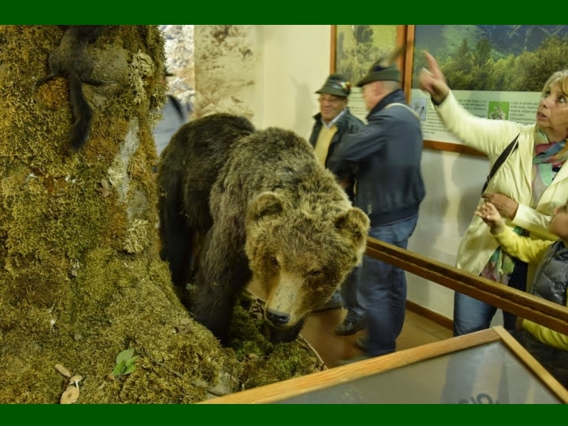 Pescasseroli (AQ) - Museo naturalistico 5