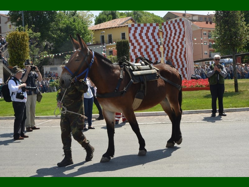 Sfilata 59/71