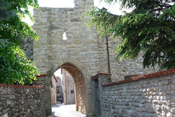 19 19