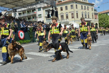 IVSettore_DSC_4453_TV17