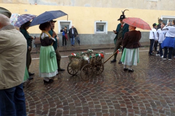 DSCF0873 DSCF0873