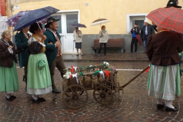 DSCF0874 DSCF0874
