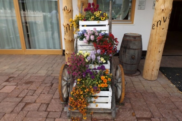 DSCF0904
