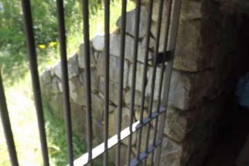 DSCF0928 DSCF0928