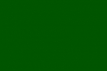 800x600 800x600
